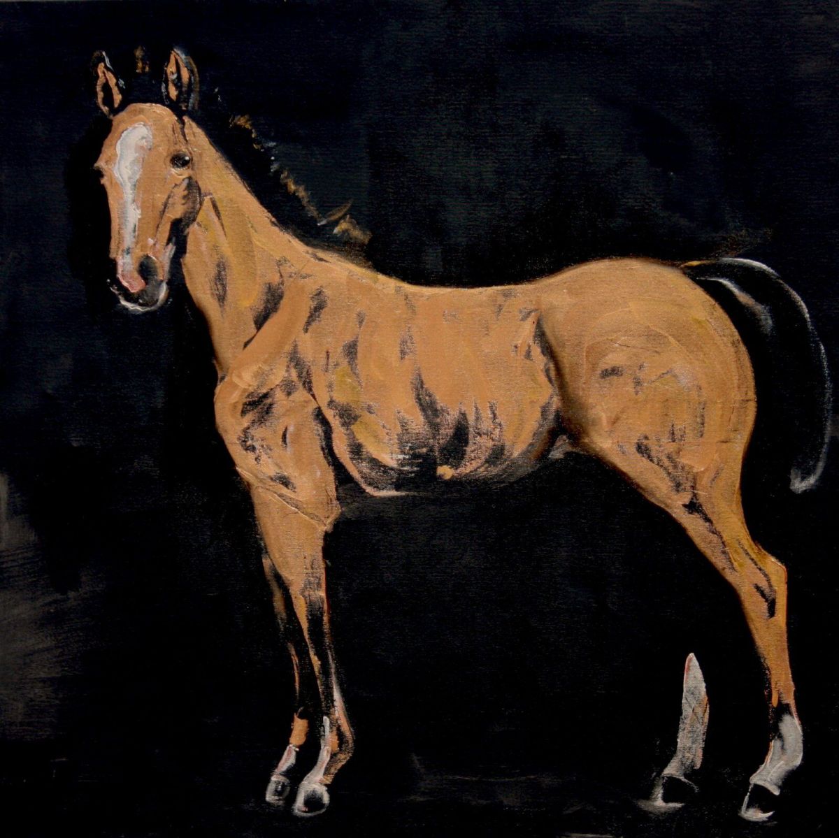 Amarpour DADA 100 Cm X 100 Cm Oil On Canvas 2020