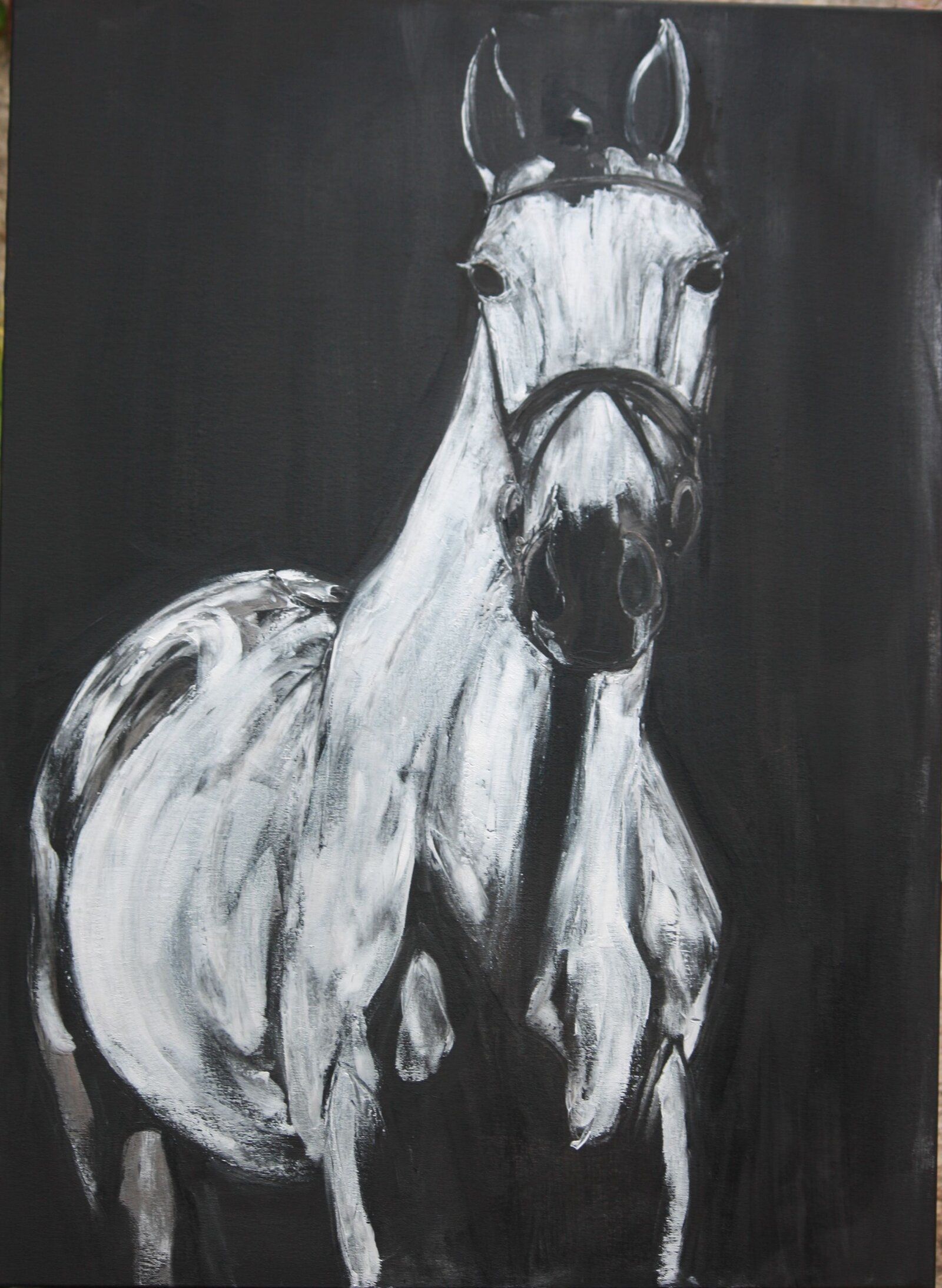 Gray Lusitano Stallion 100 Cm X 73 Cm Oil On Canvas 2020