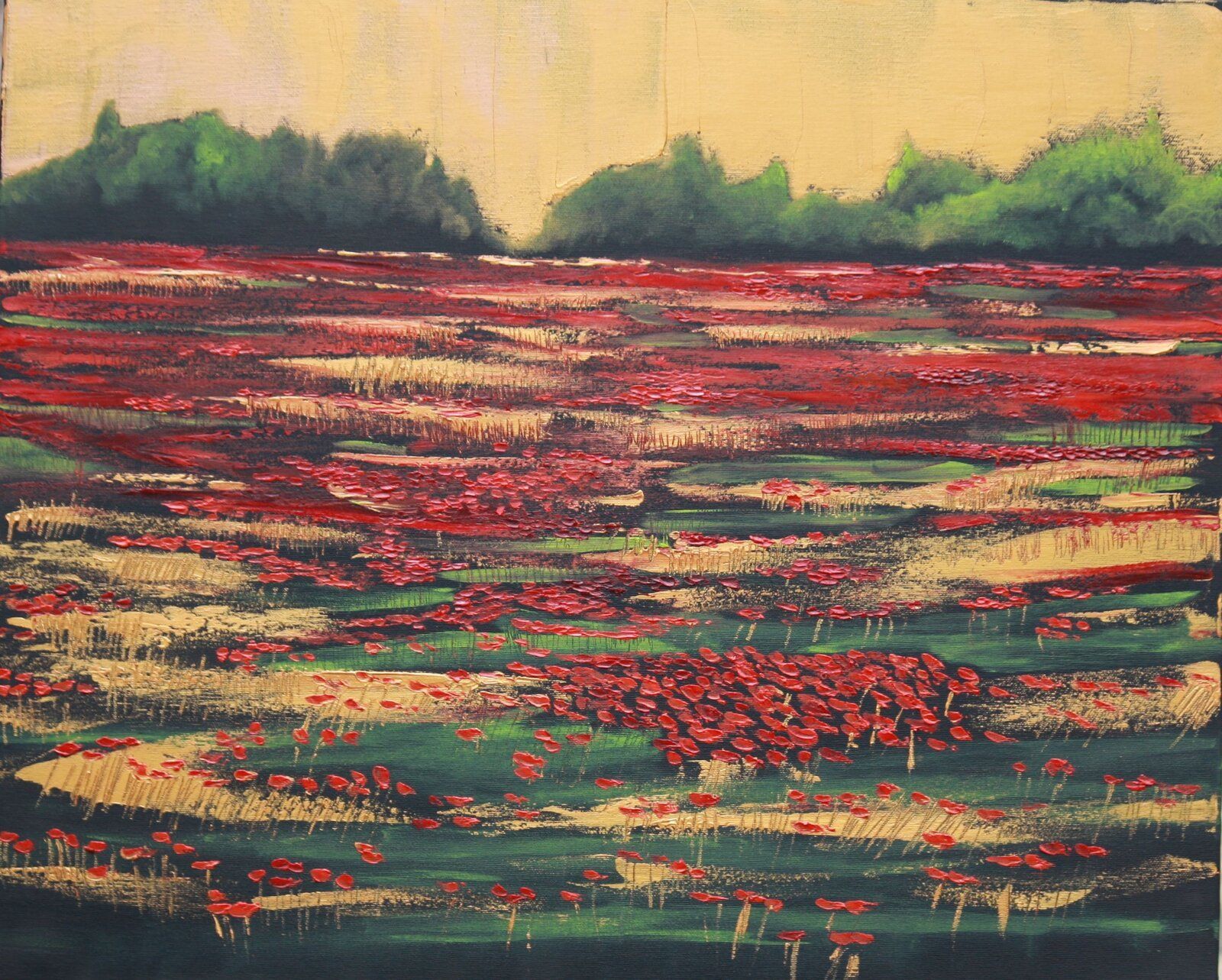 Poppy Fields 50 Cm X 60 Cm Oil On Canvas 2020