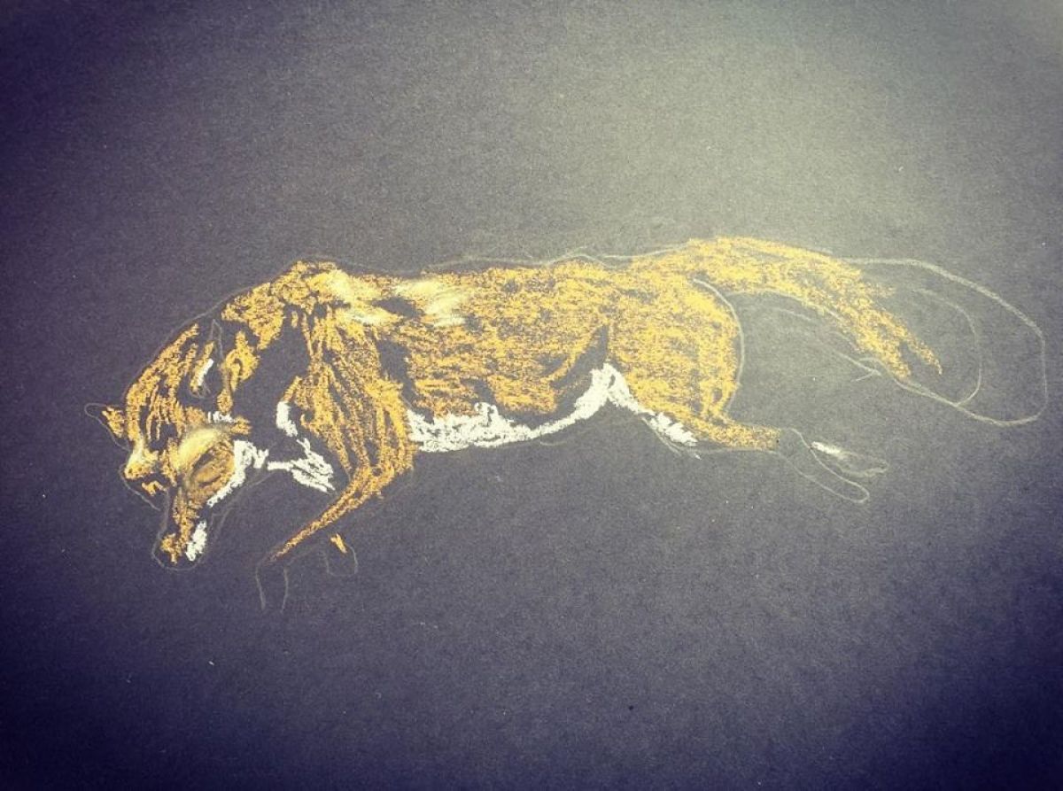 Renard Mort Format A 3 Oil Pastel On Paper 2019