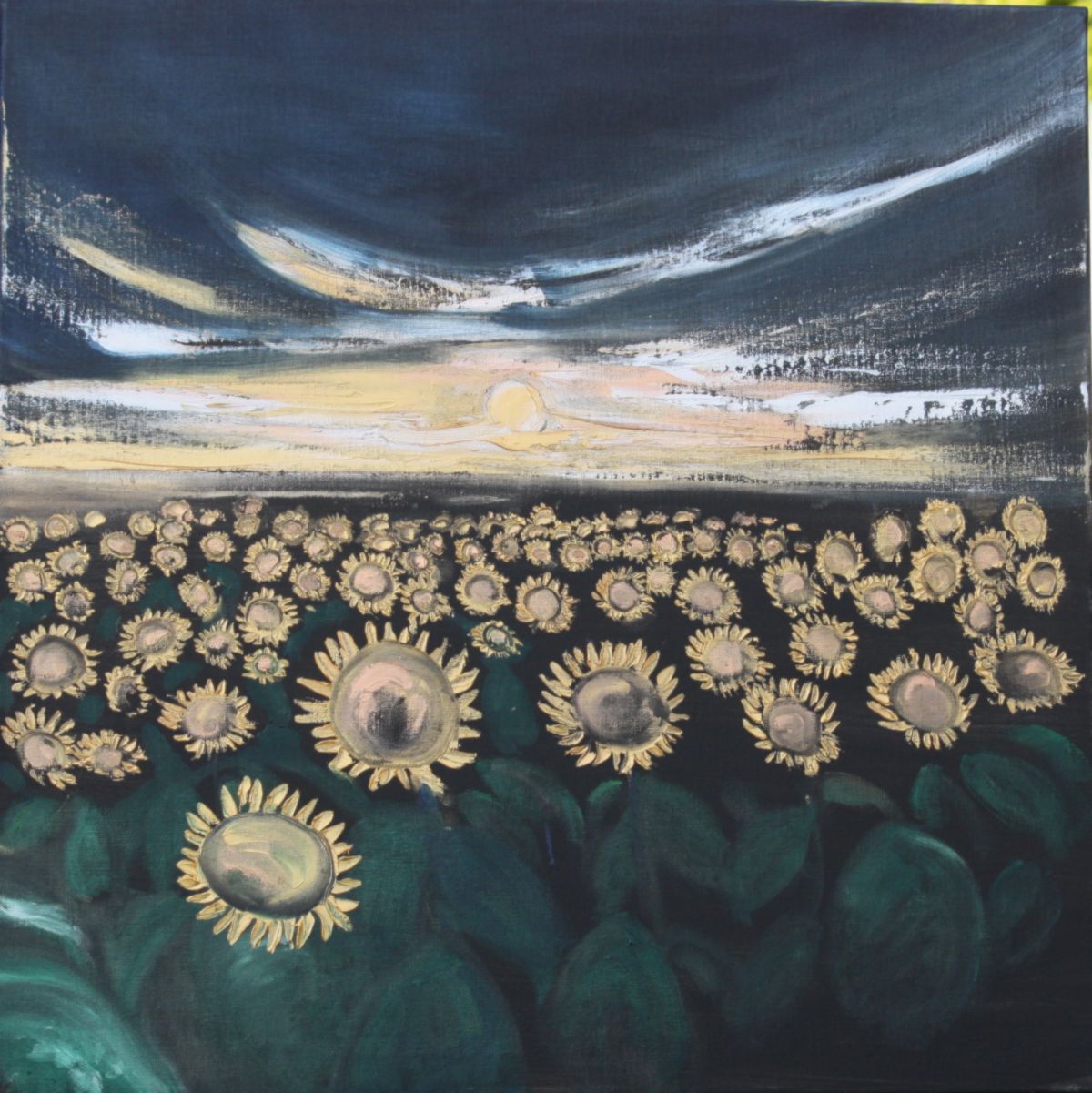 Sunflowers in Normandy