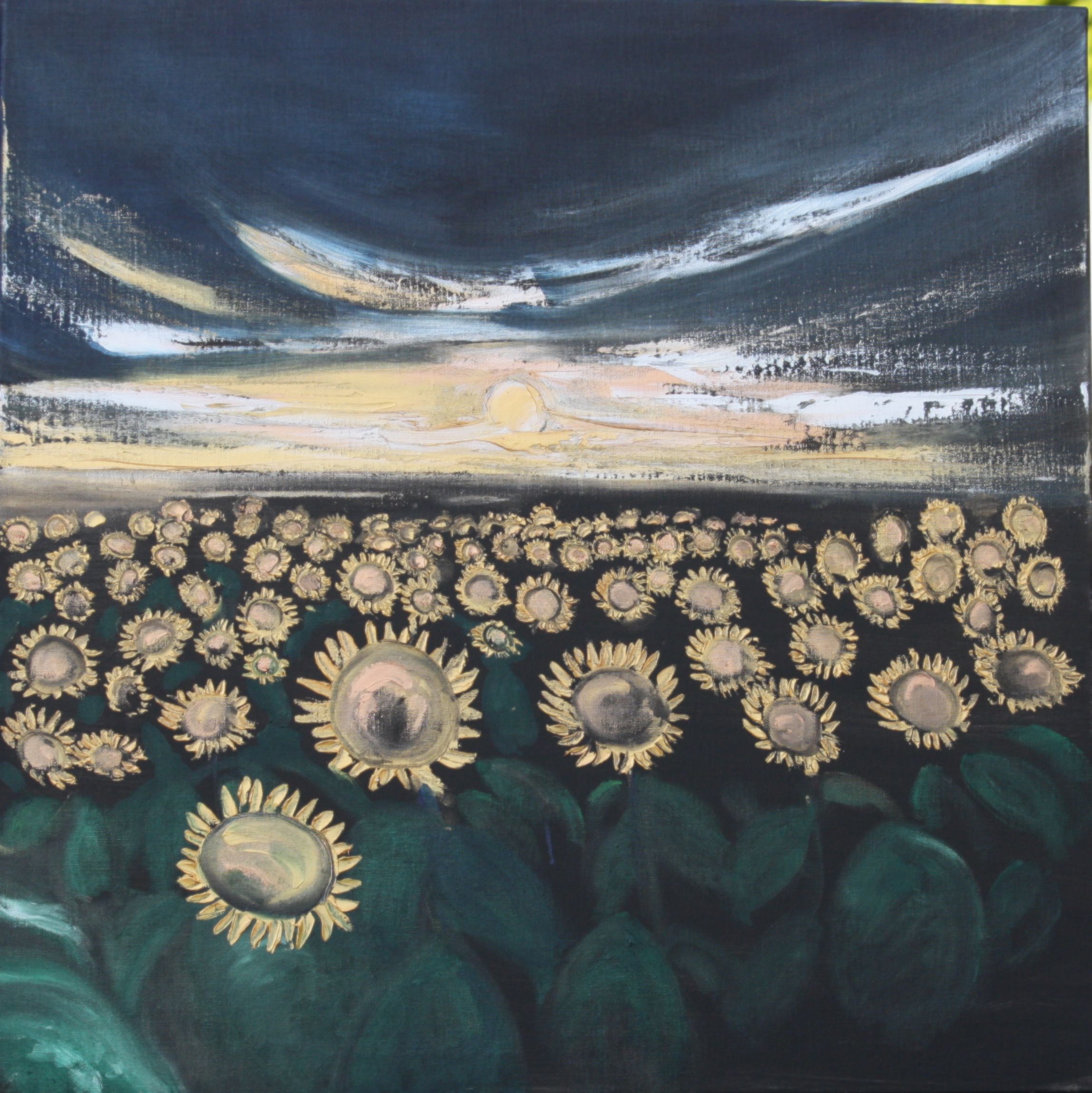 Sunflowers in Normandy