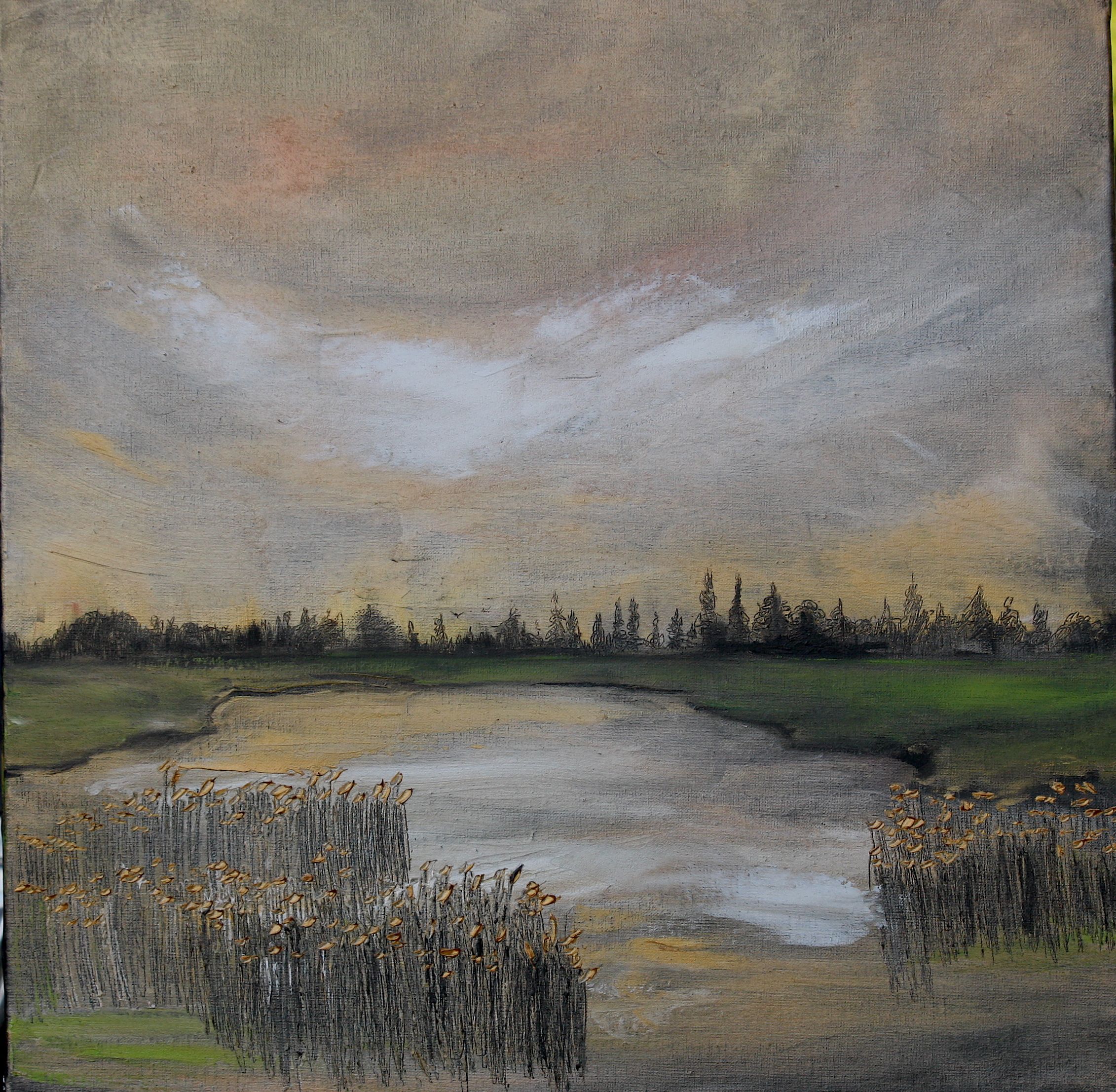 The Cotentin Marshes