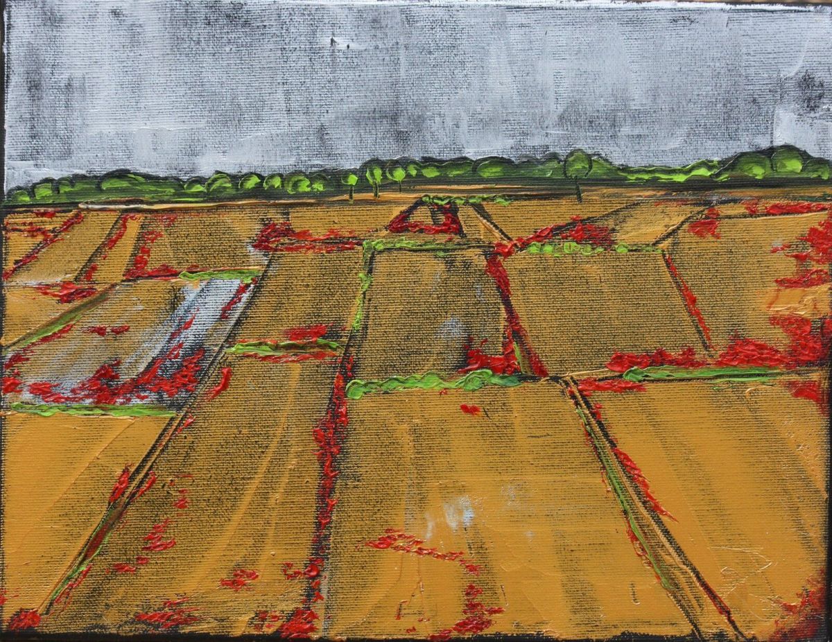 Wheat Fields Summer Walks 27 Cm X 35 Cm Oil On Canvas 2020