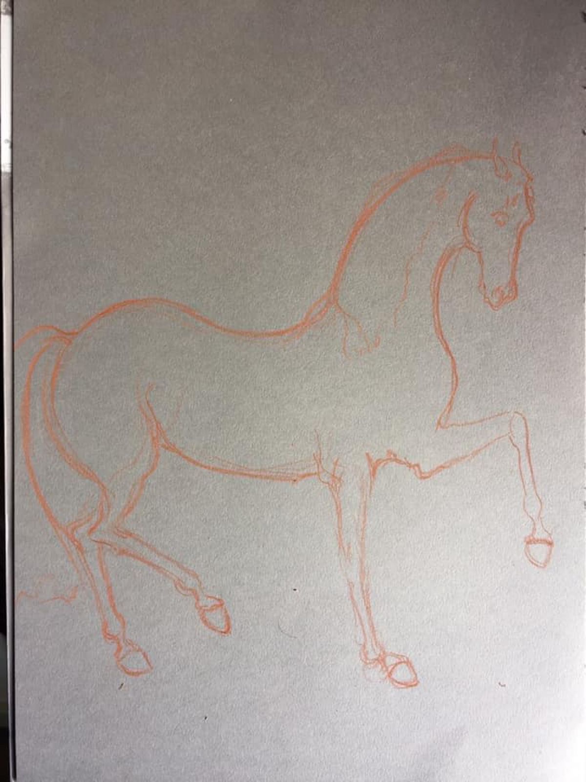 Cheval Etudes Format A 3 Sanguine On Paper 2018