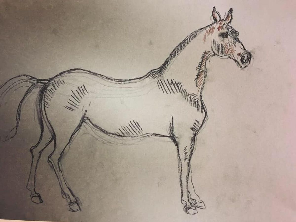 Etude Cheval Format A 3 Charbon Et Sanguine On Paper 2018