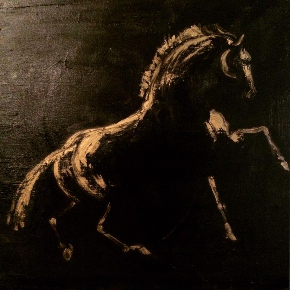 Etude De Cheval 60 Cm X 60 Cm Oil On Canvas 18