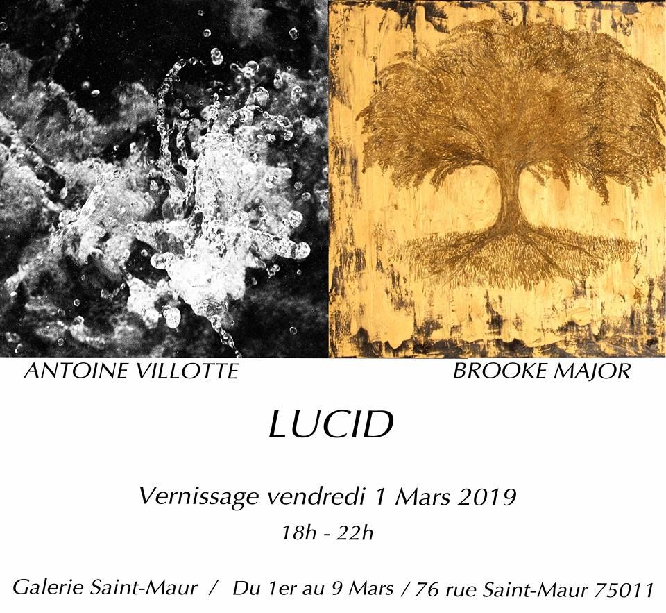 Vernissage Antoine Villotte et Brooke Major