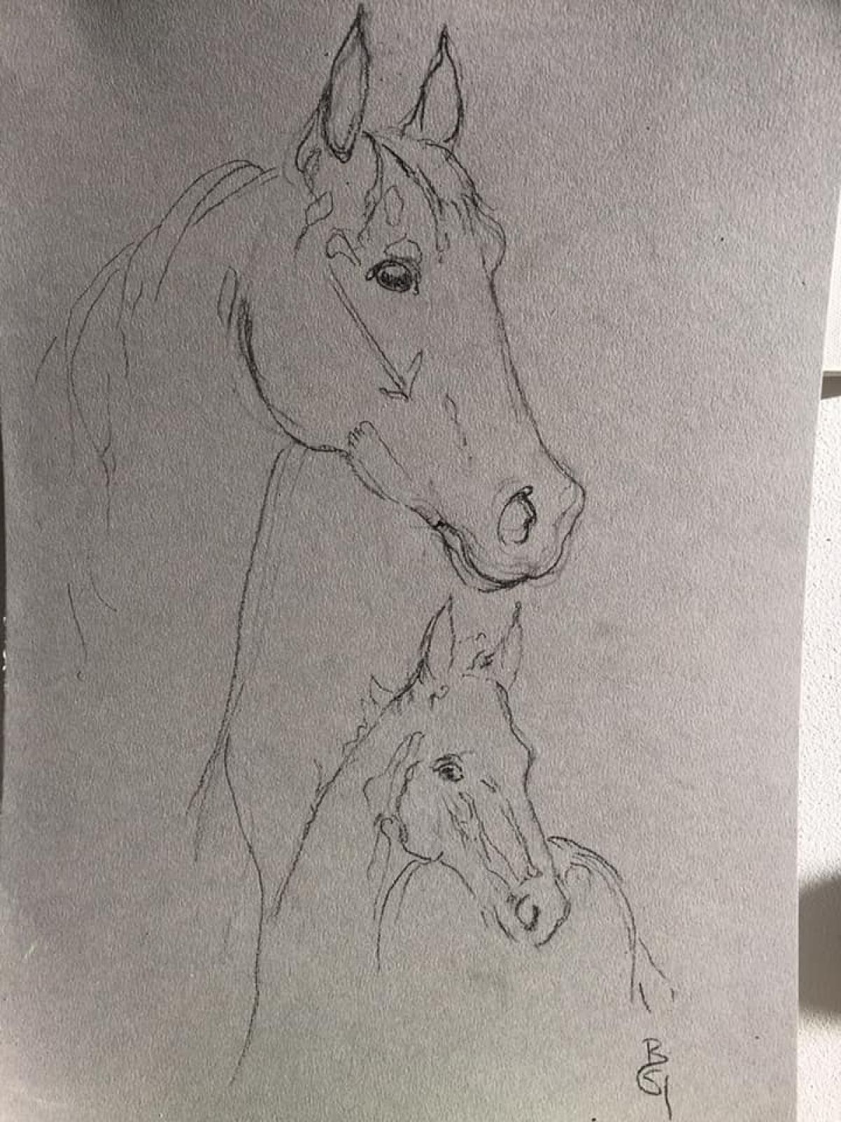 Pouliniere Et Poulain Charbon On Paper Format A 3 2018